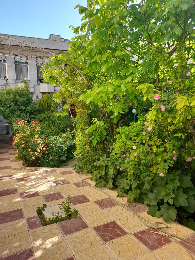 دوخوابه باغ رضوان