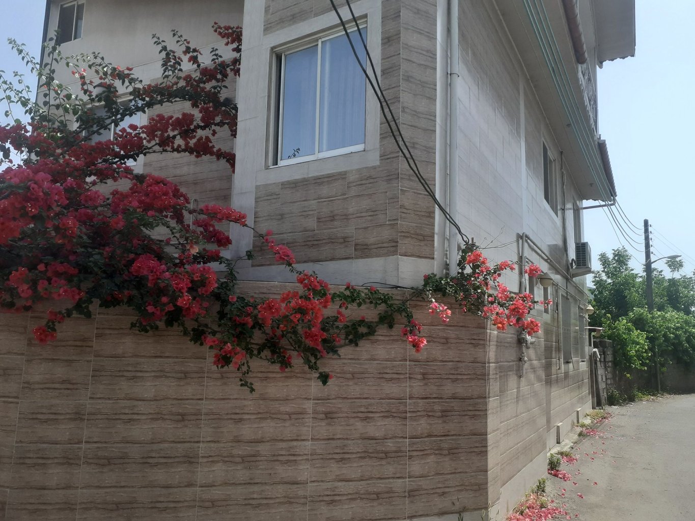 ویلا دوخوابه کورکا - پیش فرض