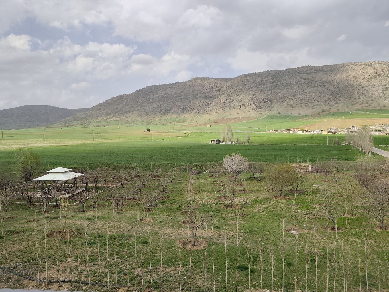 شو لیز آبشار بیشه - واحد 6