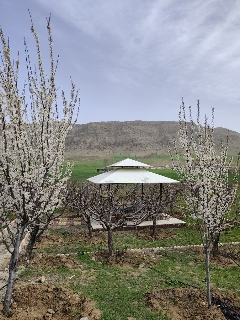 شو لیز آبشار بیشه - واحد 6