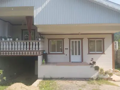 ویلا دوخوابه جنگلی الی