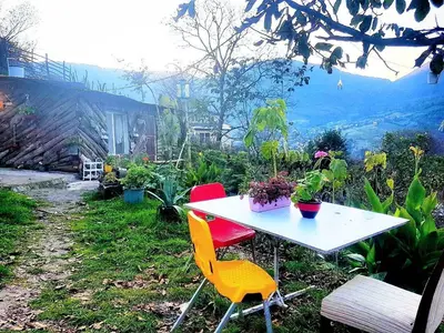 کلبه فلت جنگلی دیزین