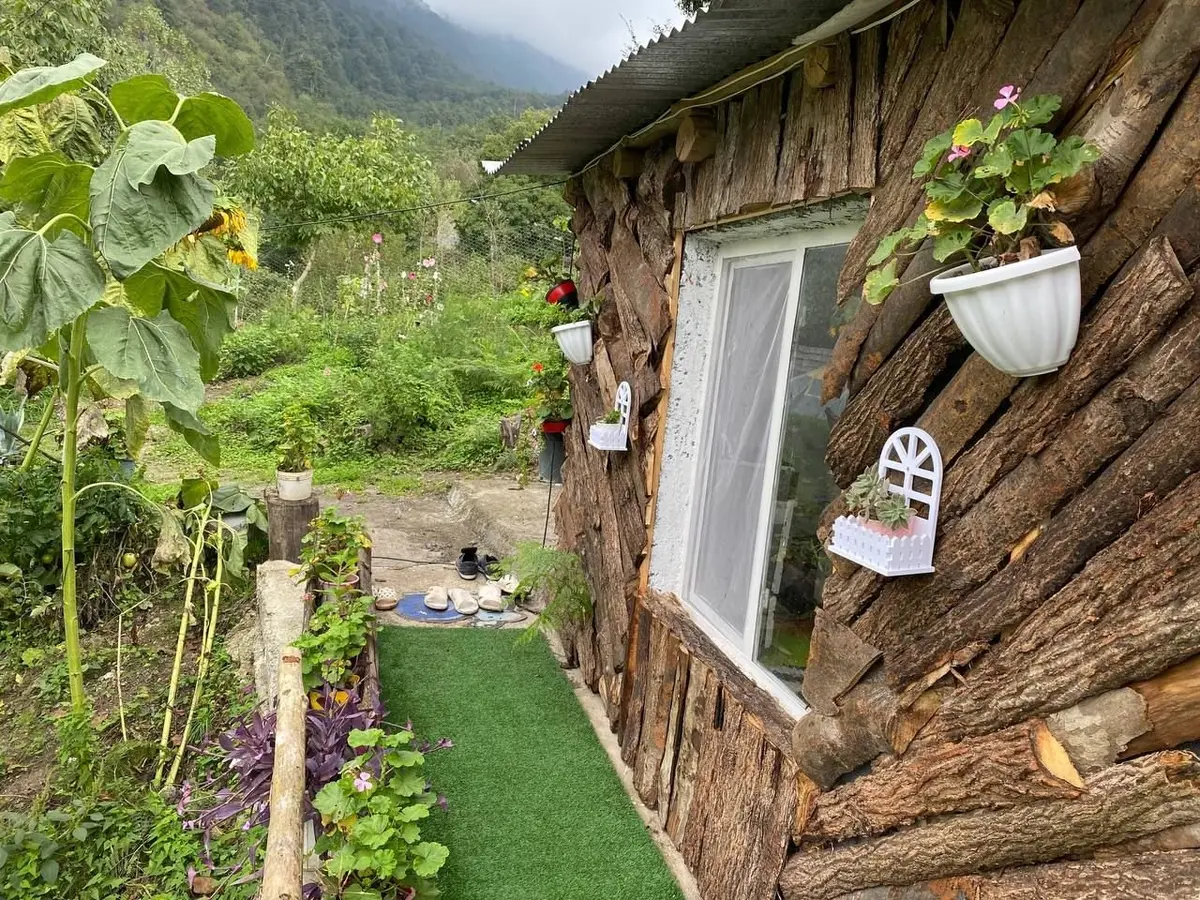 کلبه فلت جنگلی دیزین