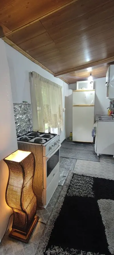 کلبه فلت جنگلی دیزین