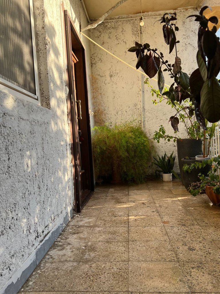 آپارتمان یک خوابه ساحلی چمران