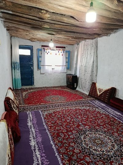 بومگردی اَفرا جنگل ابر - واحد آلوچال