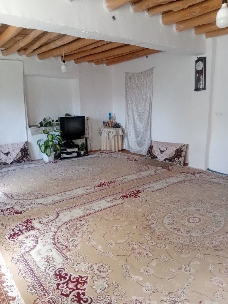 بوم گردی اقامتگاه بومگردی اَفرا جنگل ابر - شاه پسند