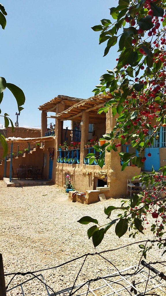 بوم گردی اقامتگاه بومگردی اَفرا جنگل ابر - شاه پسند