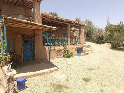 بومگردی اَفرا جنگل ابر - واحد میرزاخان