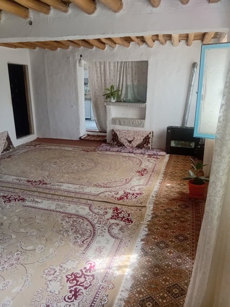 بوم گردی اقامتگاه بومگردی اَفرا جنگل ابر - شاه پسند