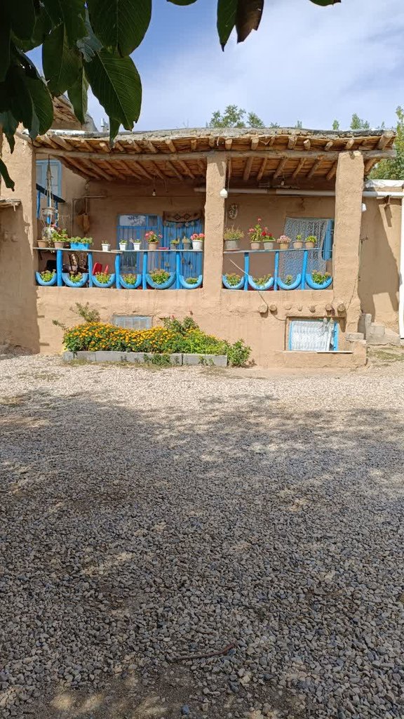 بوم گردی اَفرا جنگل ابر - واحد آلوچال