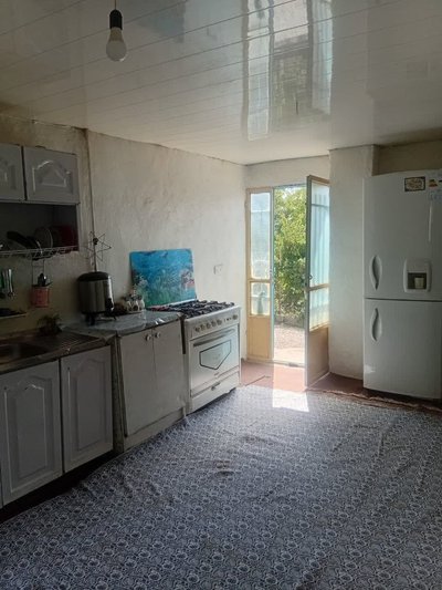 بومگردی فلت اَفرا - جنگل ابر