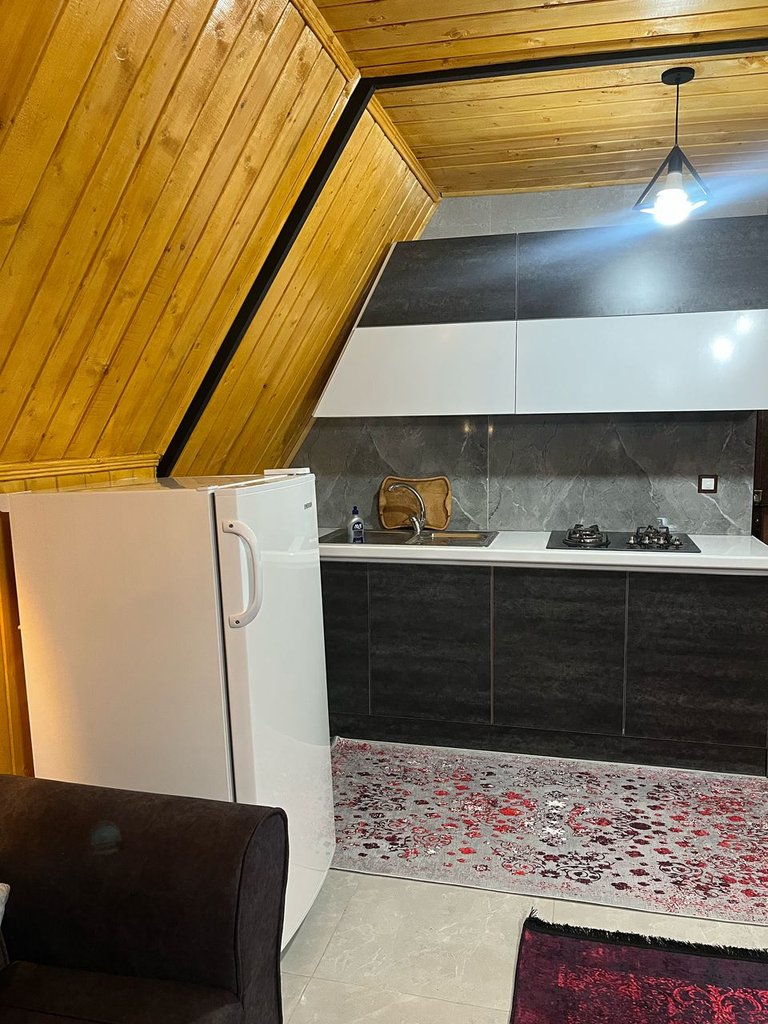 کلبه دوخوابه سوئیسی لب رودخانه برکه