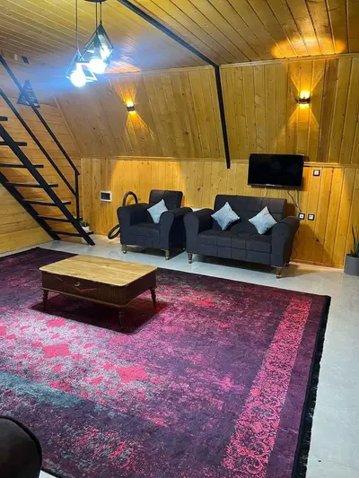 کلبه دوخوابه سوئیسی لب رودخانه برکه