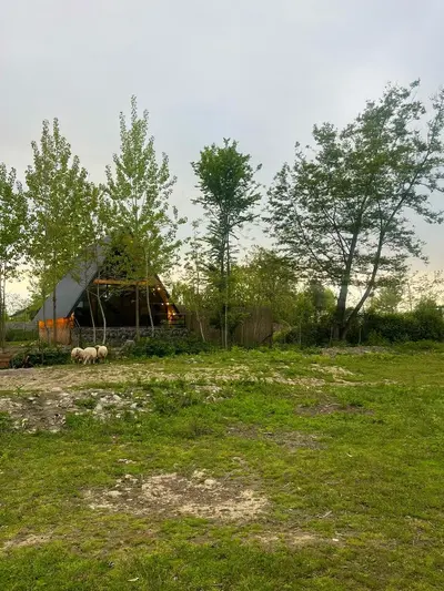 کلبه دوخوابه سوئیسی لب رودخانه برکه