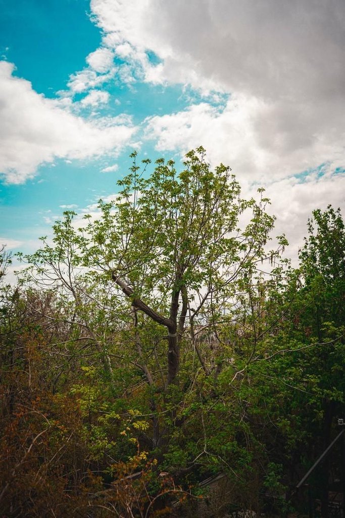 مجتمع اقامتی باغ چهارفصل - واحد دوتخته