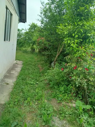 ویلا یک خوابه رحیم پور