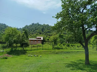 کلبه دوخوابه دیارا