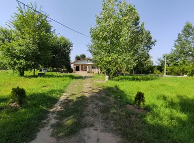 ویلا دوخوابه باغ بهشت هیرکانی