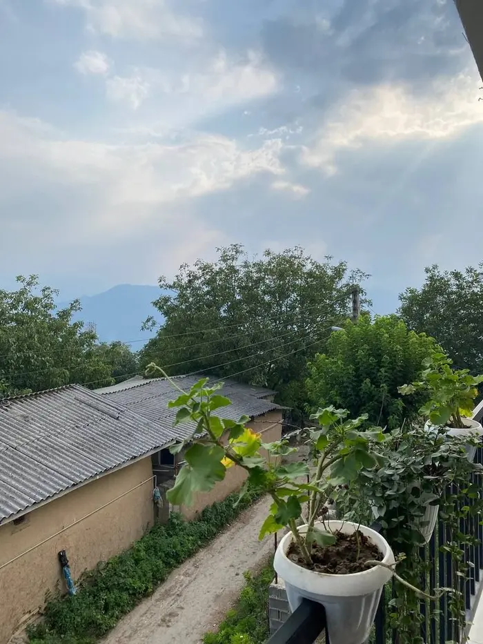 اقامتگاه سنتی پسر عیدی - واحد پناه