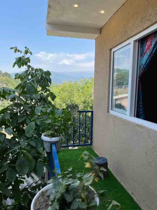 اقامتگاه سنتی پیله هیرکانی 5 - واحد 1