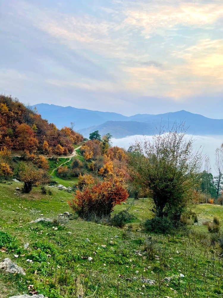 اقامتگاه سنتی پیله هیرکانی - واحد 2