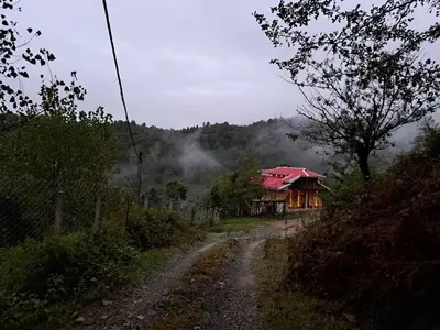 ویلا یک خوابه جنگلی مهرداد کلوان