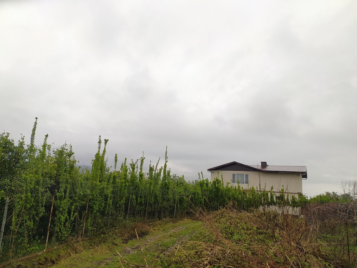 ویلا دوخوابه کارن 1