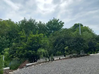 کلبه یک خوابه مهرا ۳