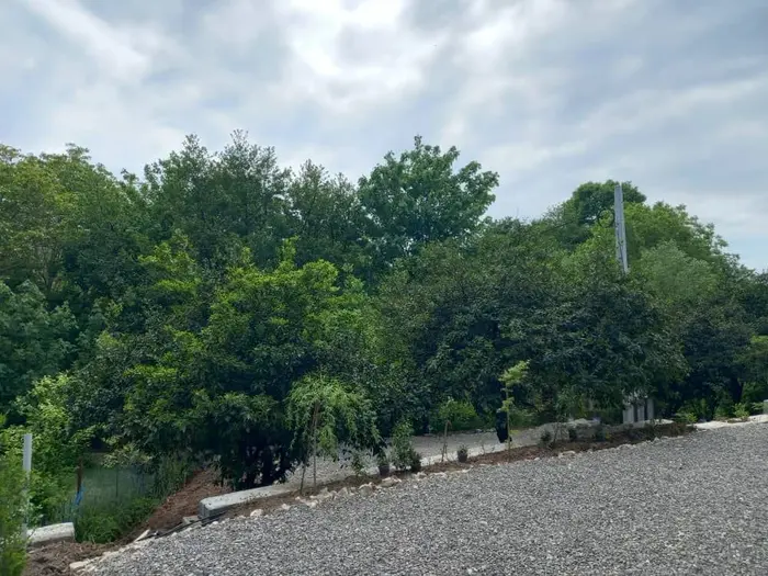 کلبه یک خوابه مهرا ۳