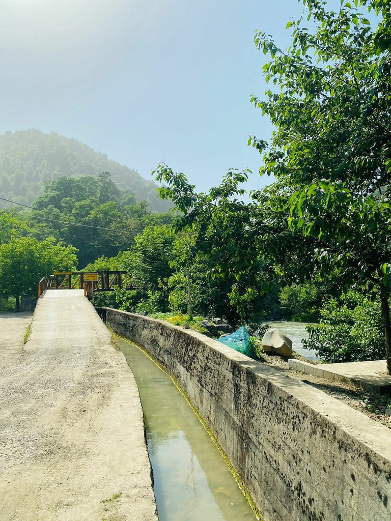 ویلا دوخوابه لب رودخانه دلنواز - محوطه ویلا