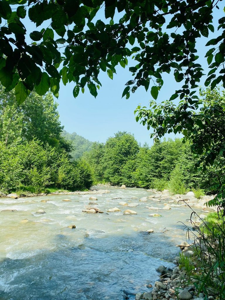 ویلا دوخوابه لب رودخانه دلنواز - رودخونه ویلا 