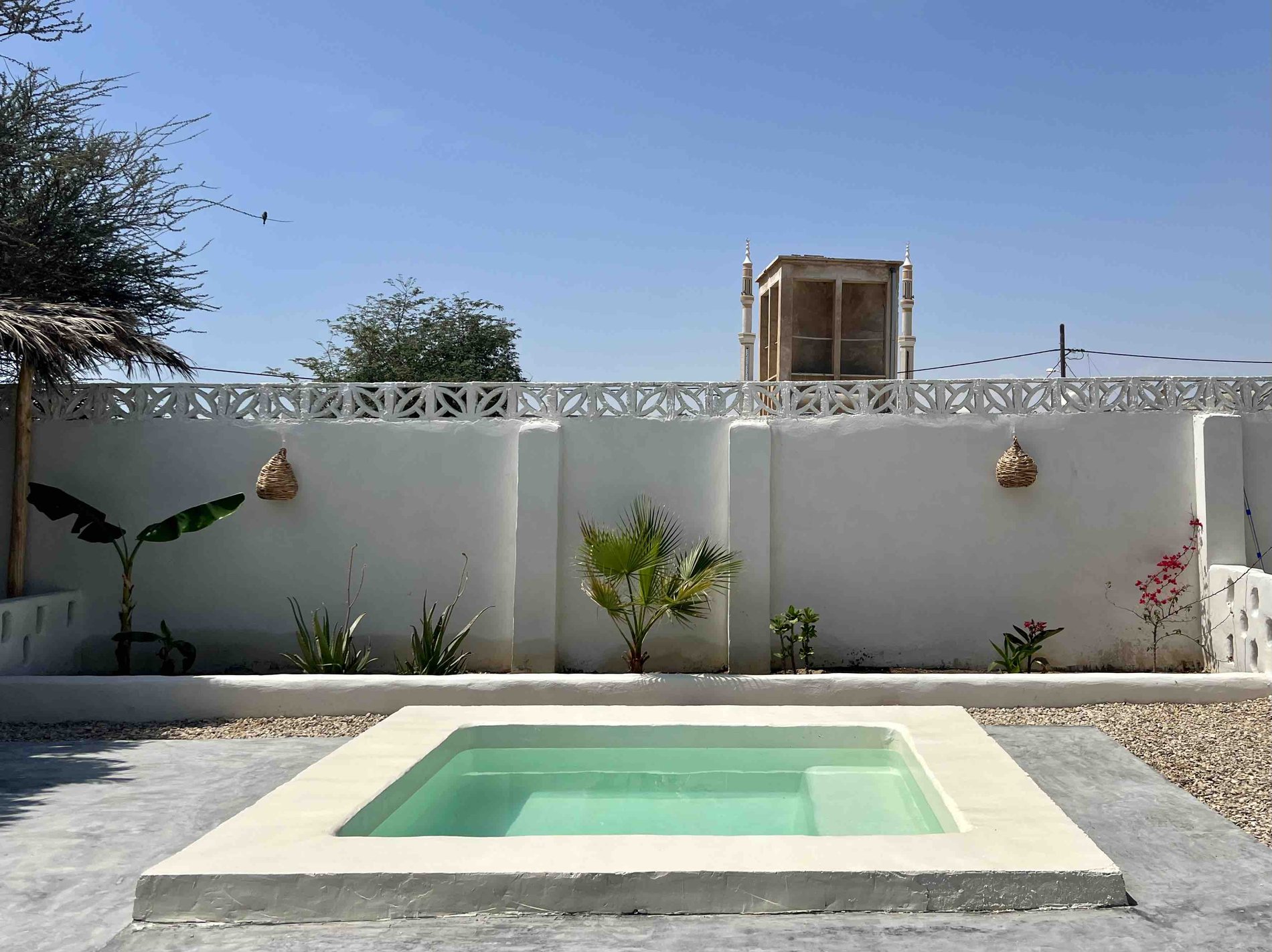 خانه‌ی بادرو - واحد آووکادو