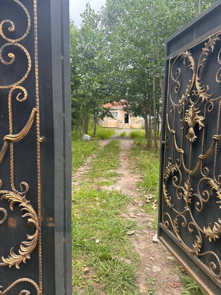 یک خوابه جنگلی رستا