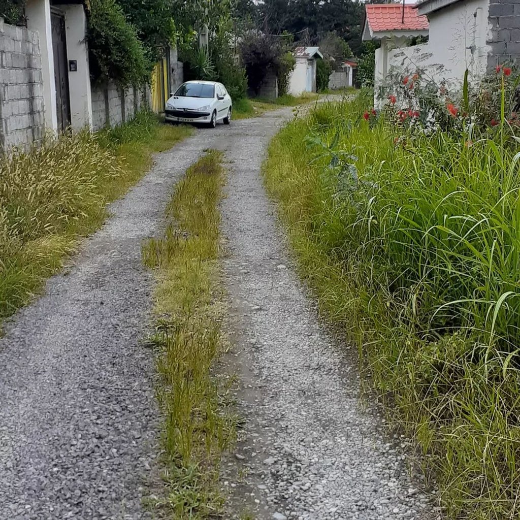 ویلا دوخوابه ساحلی شقایق 1