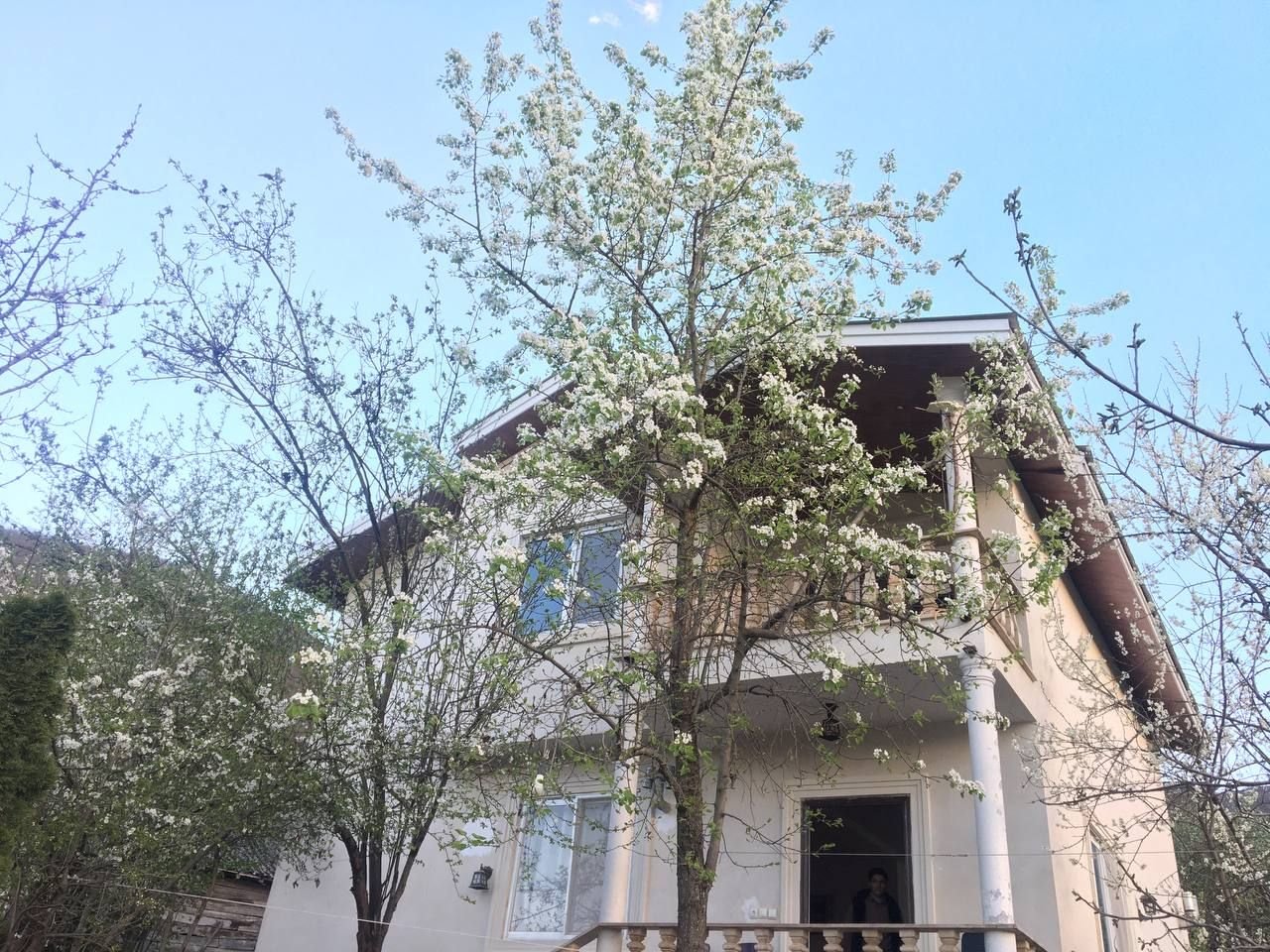 یک خوابه جنگلی پی قلعه