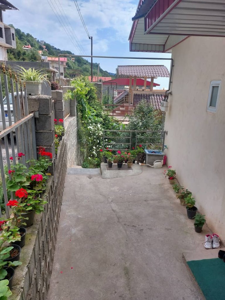 ویلا اقامتگاه جنگلی دوهزار