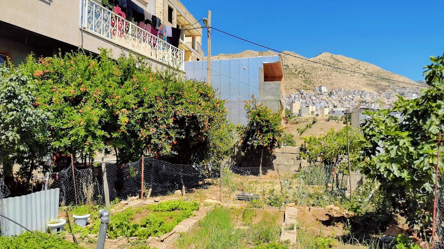 دوخوابه هایا