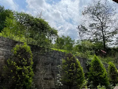 مسافرخانه فلت مهران - واحد 4