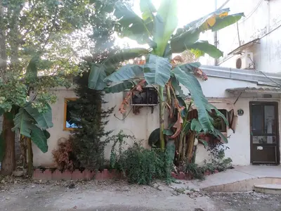 مجتمع اقامتی دوخوابه ساحلی زیتون واحد 11