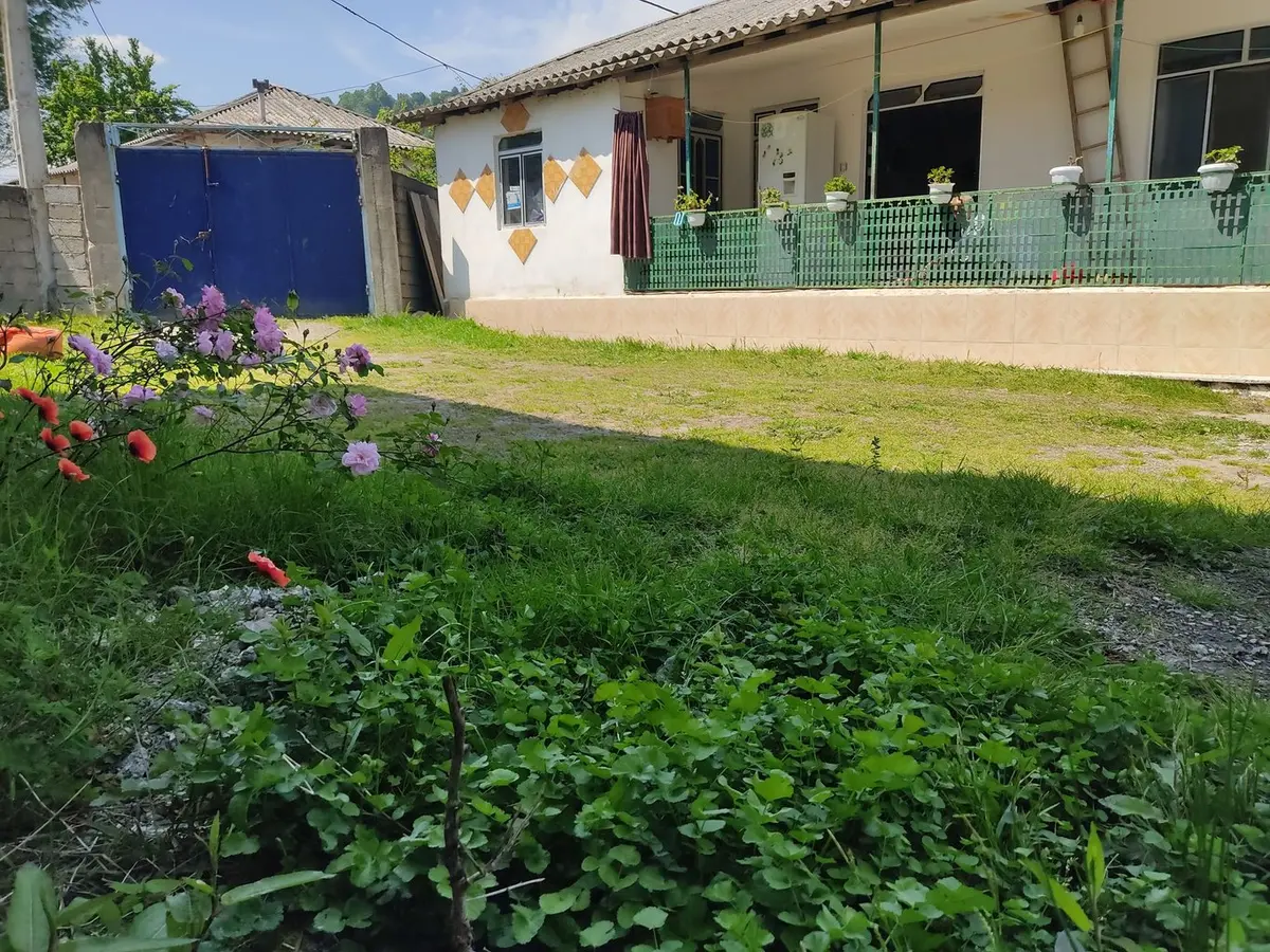 ویلا یک خوابه آرشام 3 - حیاط