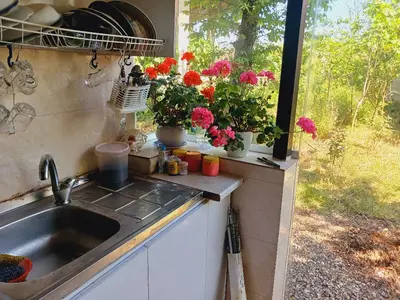 کلبه یک خوابه سوئیسی ختمی