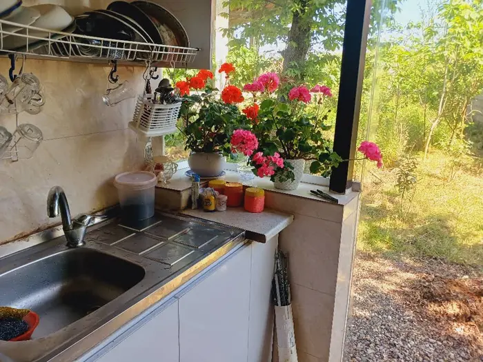 کلبه یک خوابه سوئیسی ختمی