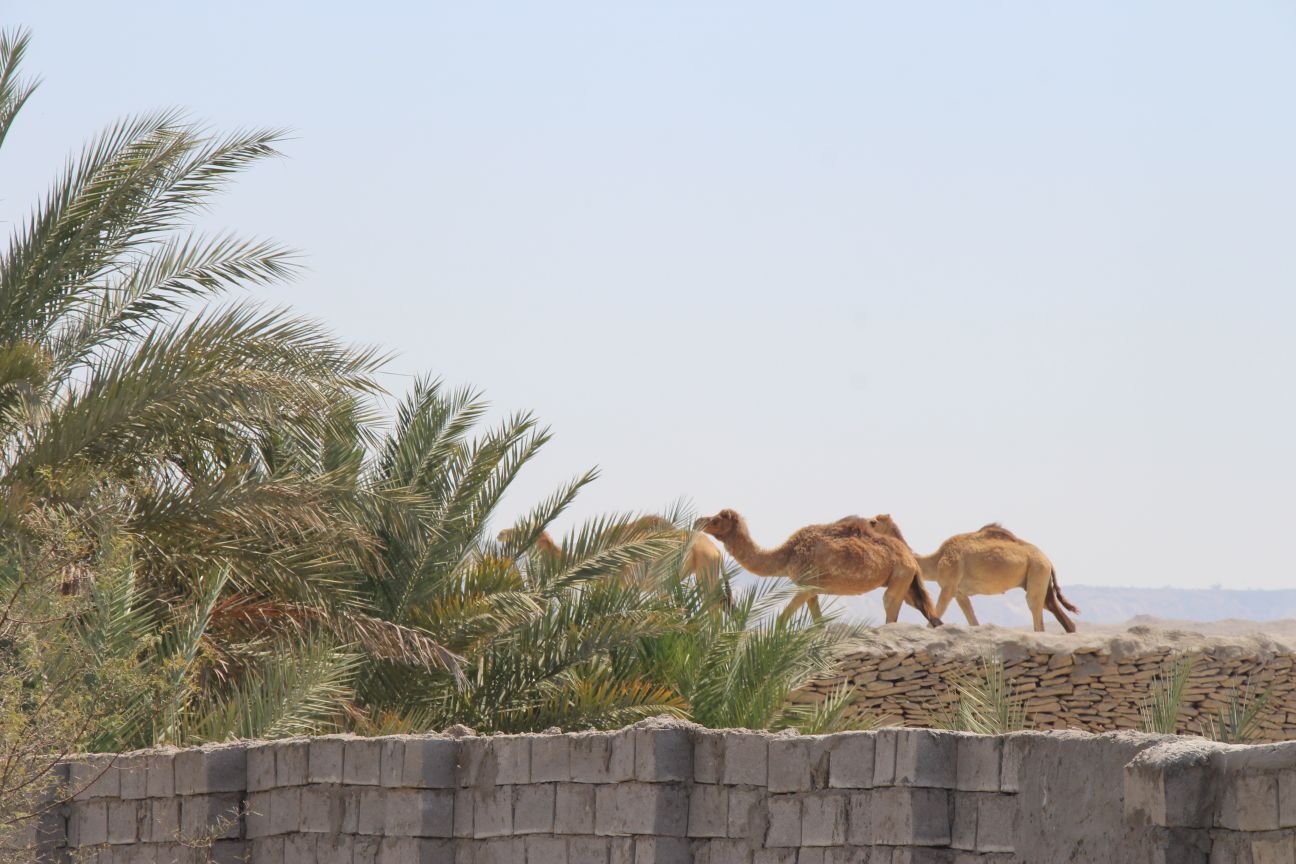 اقامتگاه بومگردی خش - دوتخته غیر مستر