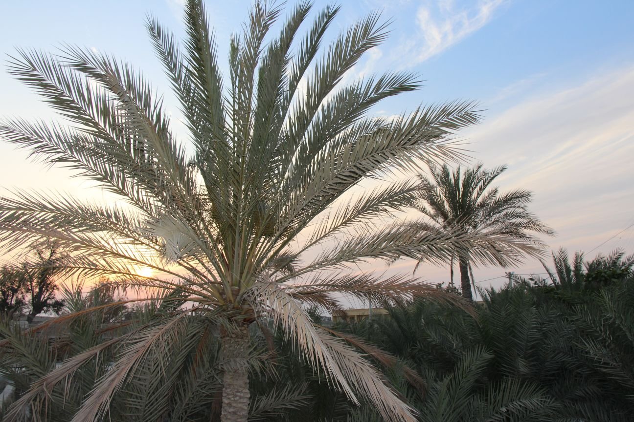 اقامتگاه بومگردی خش - دوتخته غیر مستر