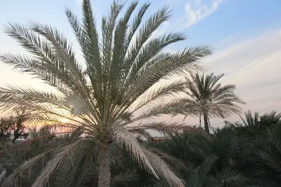 بومگردی اقامتگاه بومگردی خش - دوتخته غیر مستر