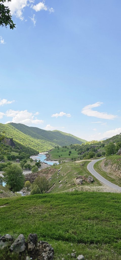 دوخوابه طلا خانم