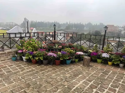 بومگردی قاجار - واحد 3