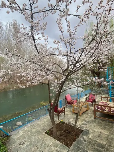 ویلا دوخوابه استخردار یاس 55