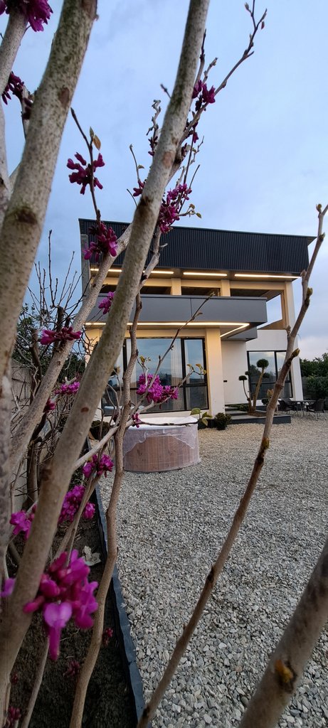 ویلا یک خوابه کیهان